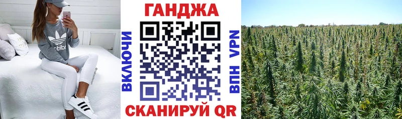 Альфа ПВП Солигалич