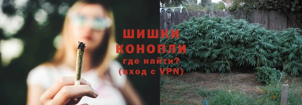 прущие грибы Дмитриев
