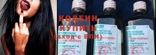прущие грибы Дмитриев
