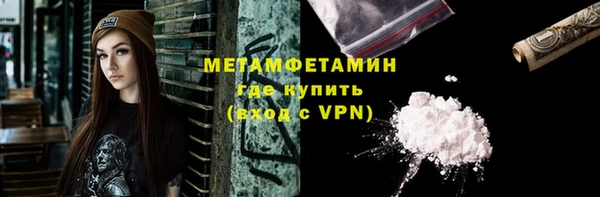 прущие грибы Дмитриев
