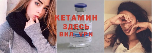 прущие грибы Дмитриев