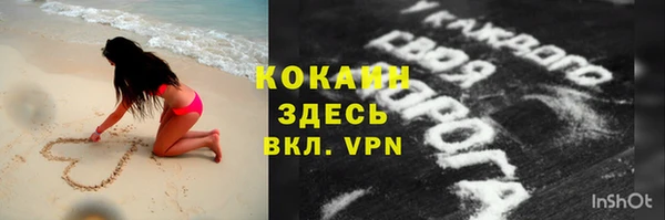 прущие грибы Дмитриев