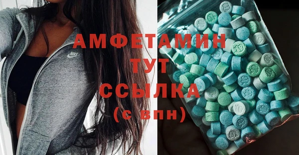 прущие грибы Дмитриев