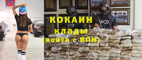 каннабис Дмитров