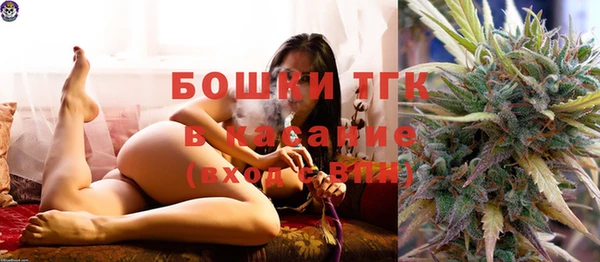 прущие грибы Дмитриев