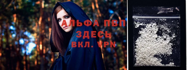прущие грибы Дмитриев