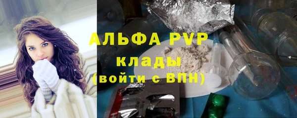 прущие грибы Дмитриев