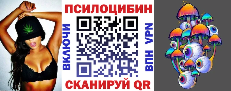 Купить где Солигалич Псилоцибиновые грибы мицелий