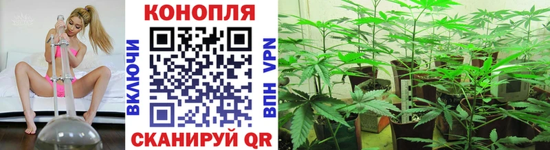 Каннабис семена  Купить закладки  Солигалич 